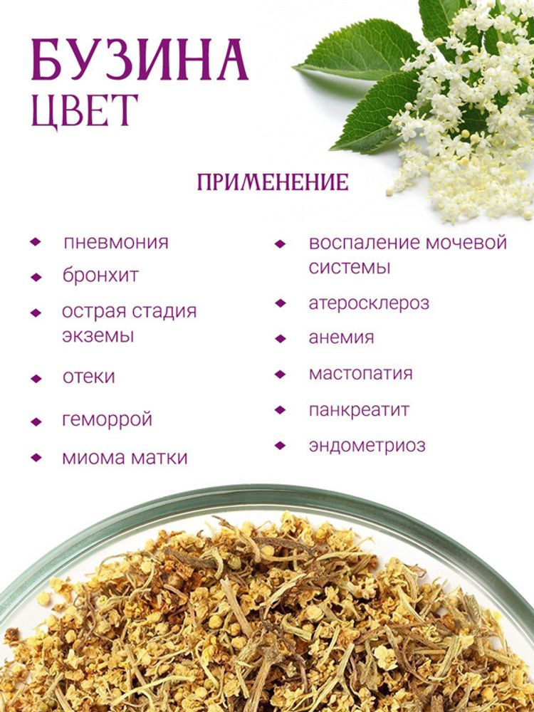 Бузина цвет