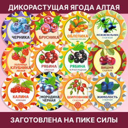 Брусника Алтайская молотая.