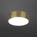 Потолочный светодиодный светильник Aployt Evon APL.0114.29.12