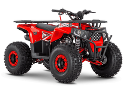 Квадроцикл WELS TRAIL 125