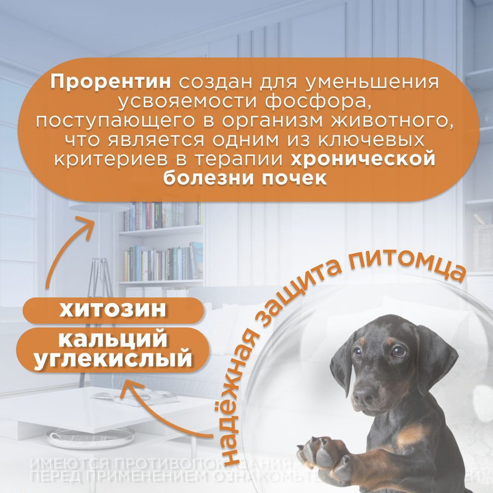 Прорентин порошок для поддержания функции почек у кошек и собак, порошок для приема внутрь, 60 г. Хитозан.