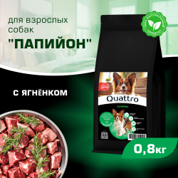 Корм сухой для взрослых собак породы Папийон, с ягненком, 800 гр, QUATTRO