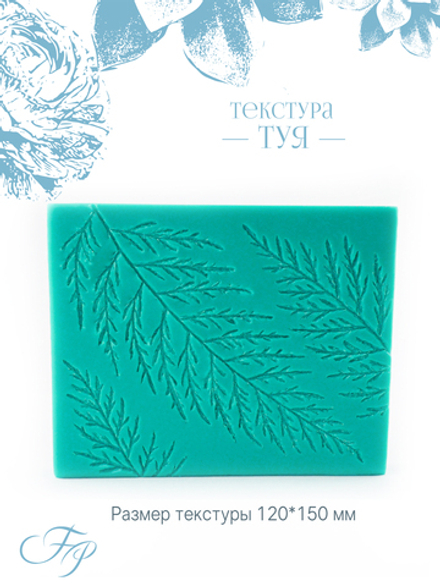 Текстура Туя