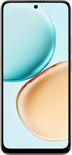 Honor X7d 8/256Gb RU Gold