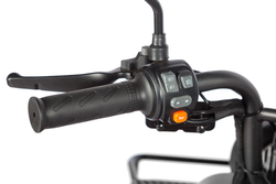 Электротрицикл Wanshida LC300 (1000Вт, 60B)