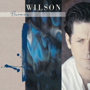 Brian Wilson / Brian Wilson (Coloured Vinyl)(2LP)