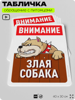 Табличка "Внимание, злая собака" на дверь и забор, для двора, дома, подъезда, 40х30 см, Silver Plane x Айдентика Технолоджи