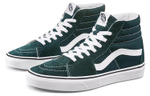 Vans Sk8