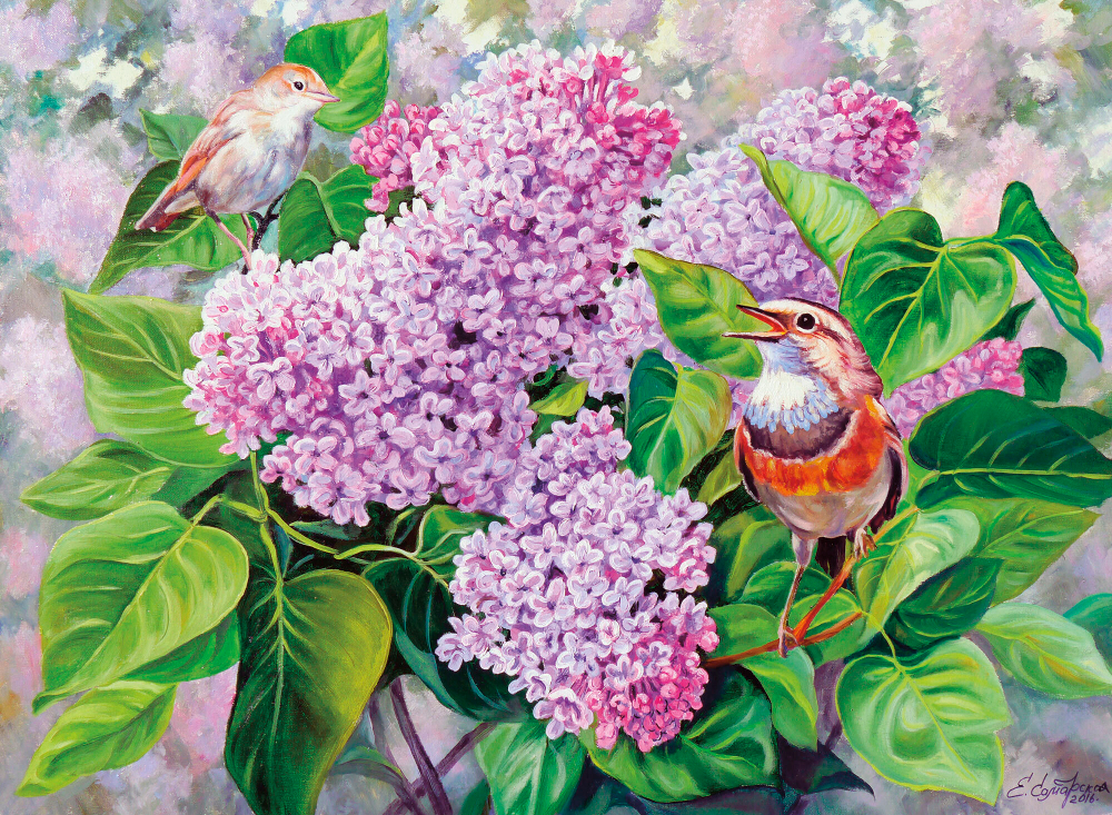 Коллекция Натюрморт