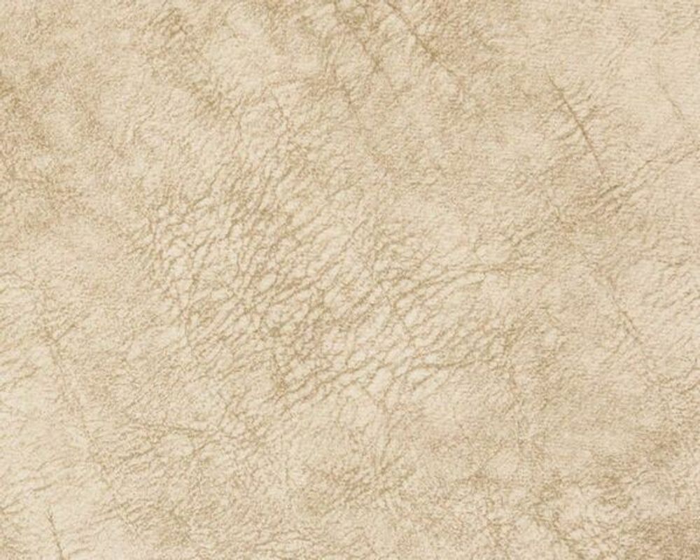 Коллекция Вул и Феникс