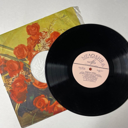 Винтажная виниловая пластинка LP Людмила Зыкина Степи, Степи 10 дюймов (СССР 1964)
