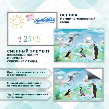 Комплект развивающий ПРИРОДА. СЕВЕРНЫЕ ПТИЦЫ. 2187
