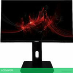 Монитор RDW Computers RDW 2423K