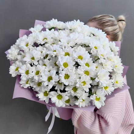 Букет из 13 белых хризантем сорта "Рейган белый"