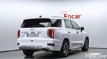 Hyundai Palisade Бензин 3.8 4WD (08.2020)