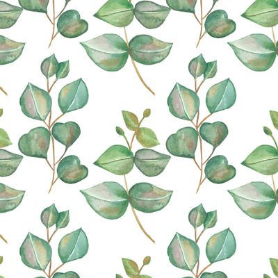 Watercolor nature greenery seamless pattern with green eucalyptus leaves on branch isolated on the white background