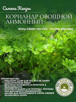 Кориандр Овощной Лимонный, Кинза, Семена 0.5 гр.