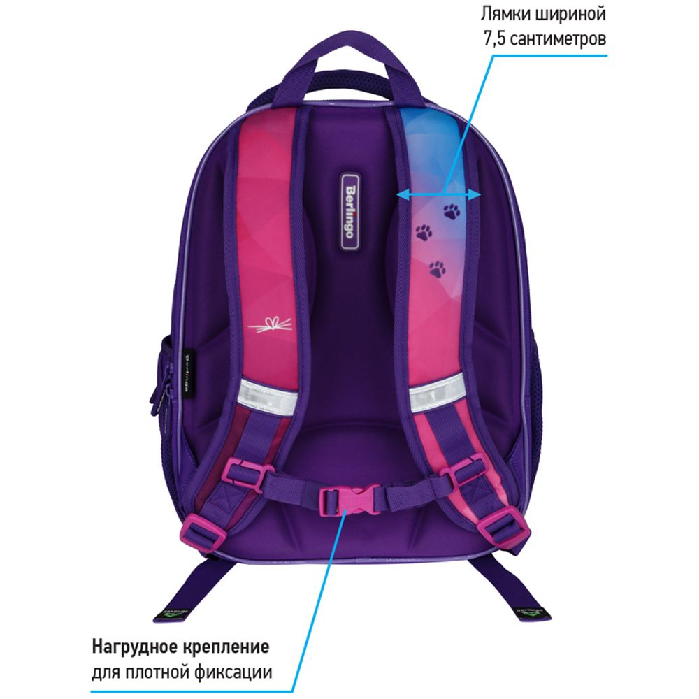 Ранец Berlingo Expert Light Hello meow 38х28х15с 3 отд., с анатомической спинкой