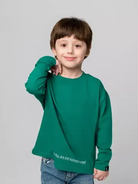Лонгслив для мальчика на осень
