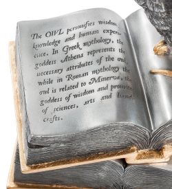 Veronese WS- 48 Шкатулка «Сова»