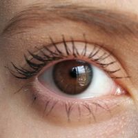 Оттеночные натуральные темно карие линзы для Светлых глаз Marquise Solo Dark brown (темно карие ) /Плюсовые диоптрии для дальнозоркости и близорукости