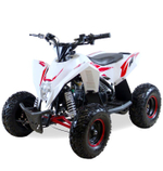 Квадроцикл Motax Gekkon 90cc