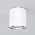 Потолочный светильник Outdoor O310CL-L12W3K