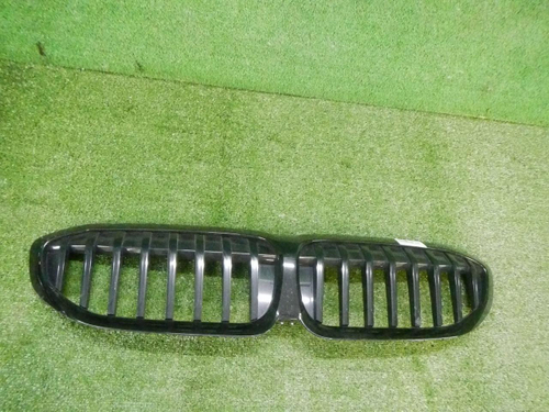 Решетка радиатора BMW 3er G20 (2018-2022)