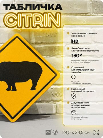 Табличка прикольная "Осторожно, носороги" на дверь и стену, информационная и предупреждающая, декоративный знак, 24,5х24,5 см, пластиковая, Айдентика Технолоджи