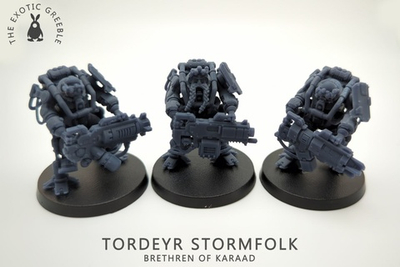 Tordeyr Stormfolk /Brokhyr Thunderkyn