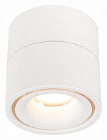 Светильник на штанге ST-Luce ST652 ST652.542.12