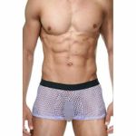 Мужские трусы хипсы сиреневые в сетку La Blinque LB15272