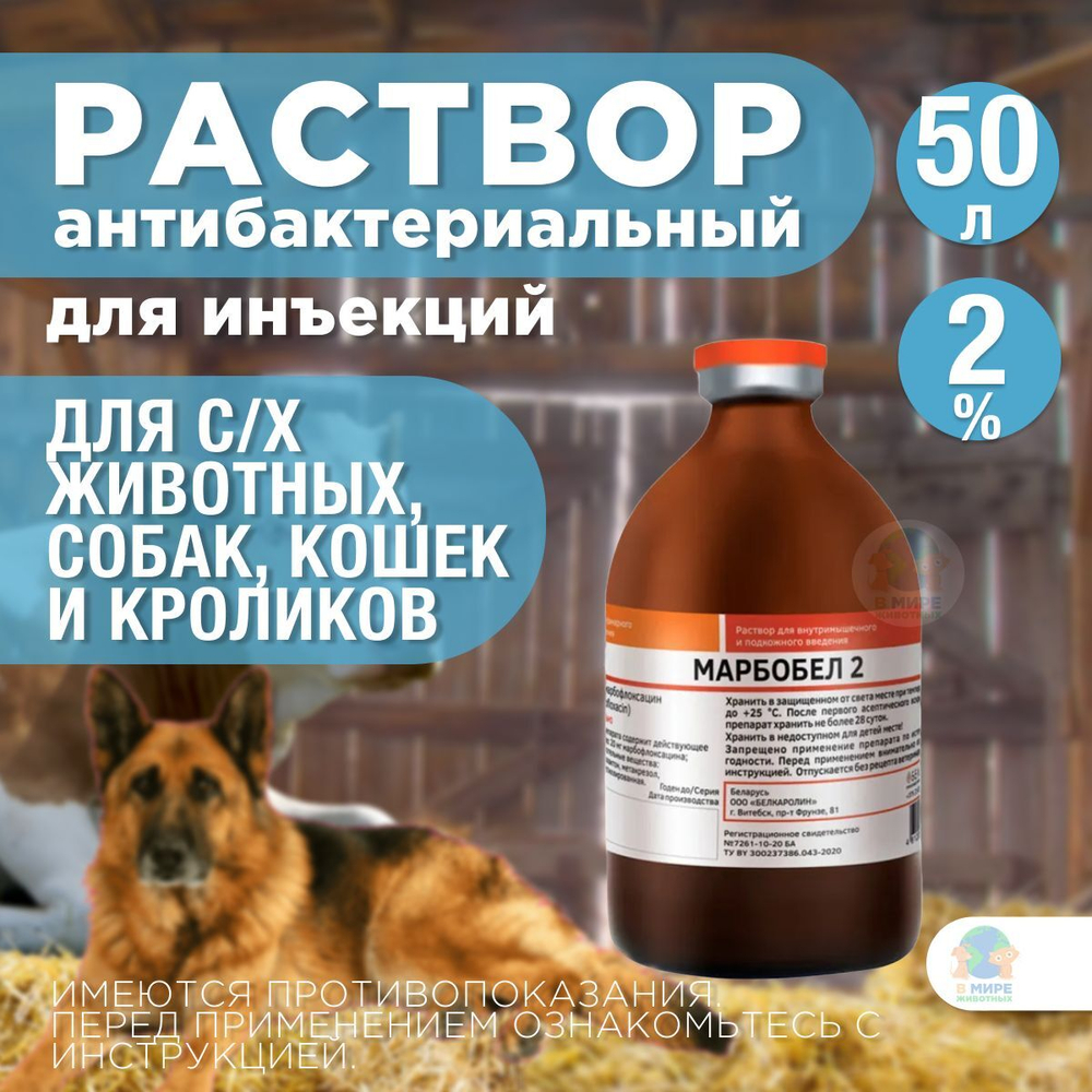 БЕЛКАРОЛИН Марбобел 2%, раствор для инъекций, для лечения молодняка сельскохозяйственных животных, собак, кошек и кроликов, 50 мл. Марбофлоксацин.