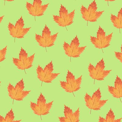 Кленовые листья