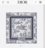 Платок Christian Dior