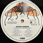 T. Rex - Electric Warrior 2LP (Европа 2012г.)