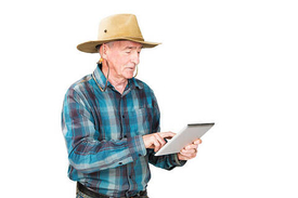 Чек-лист кормозаготовки с балльной системой