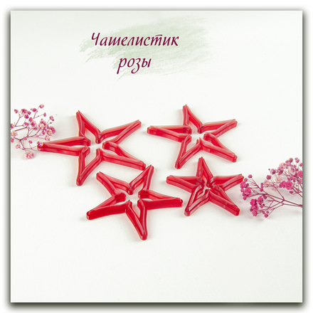 Чашелистик розы