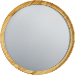 Светильник Navigator 93 458 NLF-C-024-02