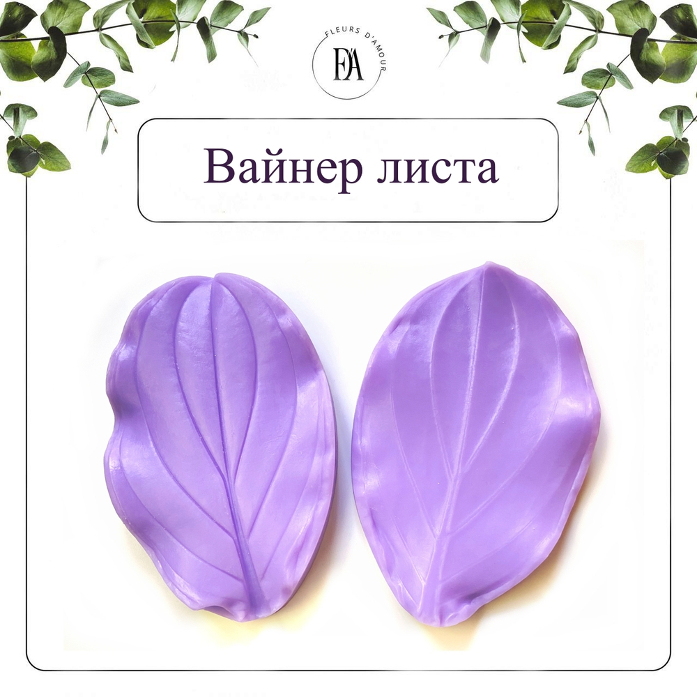 Набор вайнер и каттер листа Мединиллы