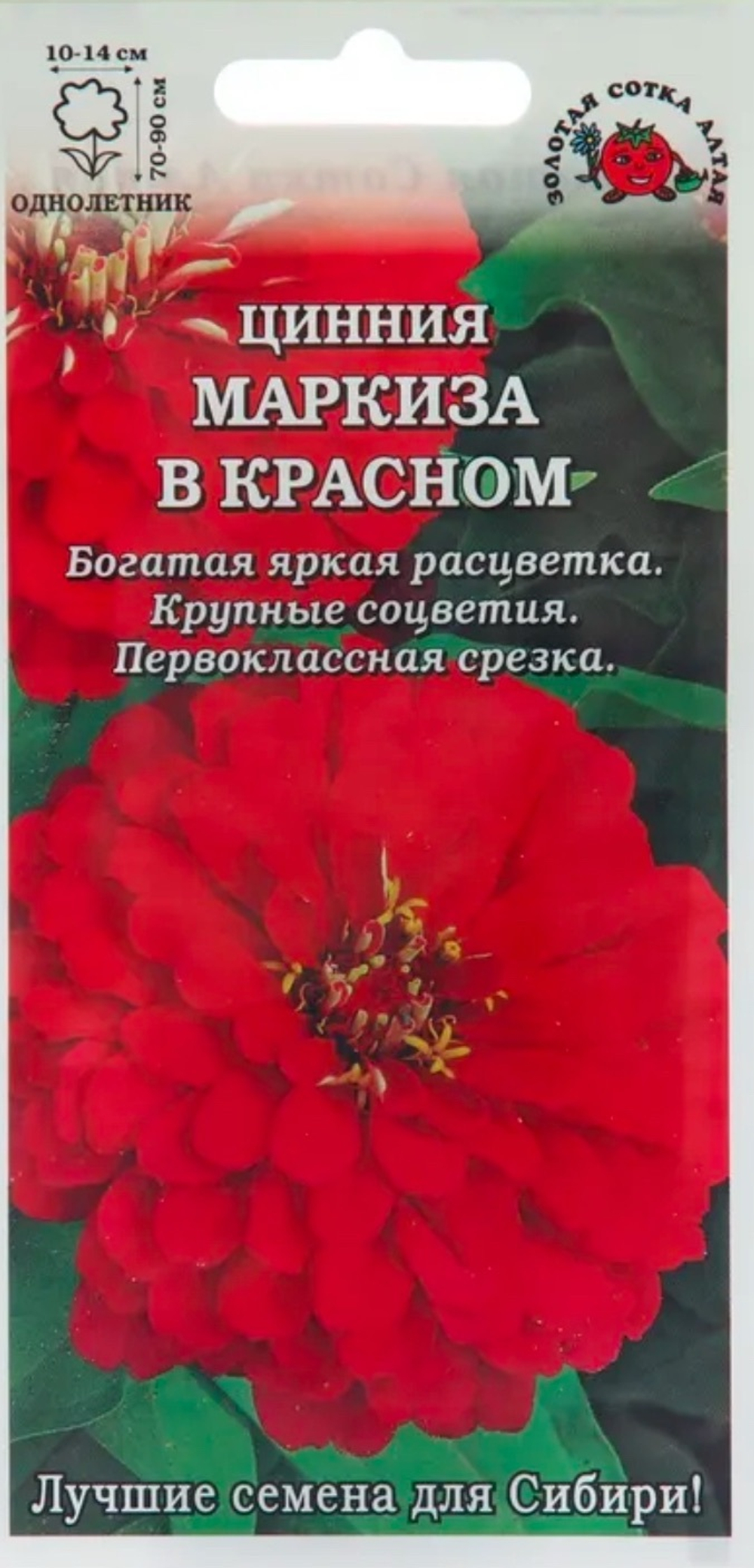 Цинния Маркиза в красном