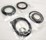 A11VLO190 SEAL KIT