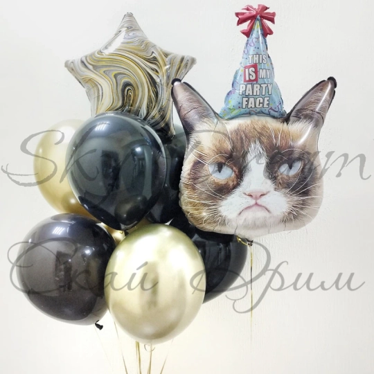 Сет из шаров Угрюмый кот