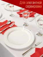 Набор больших одноразовых пластиковых тарелок с каймой "Серебро" 26 см 10 штук