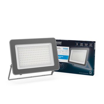 Прожектор светодиодный Qplus LED 100W IP65 6500K графит 690511100 Gauss