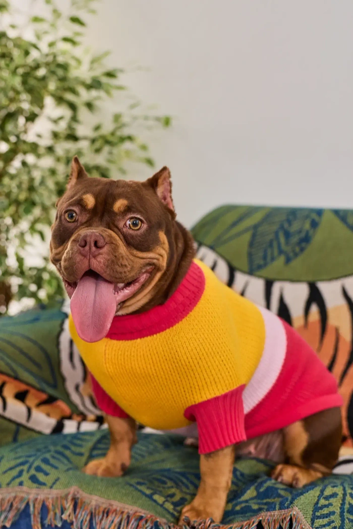 Для собачки