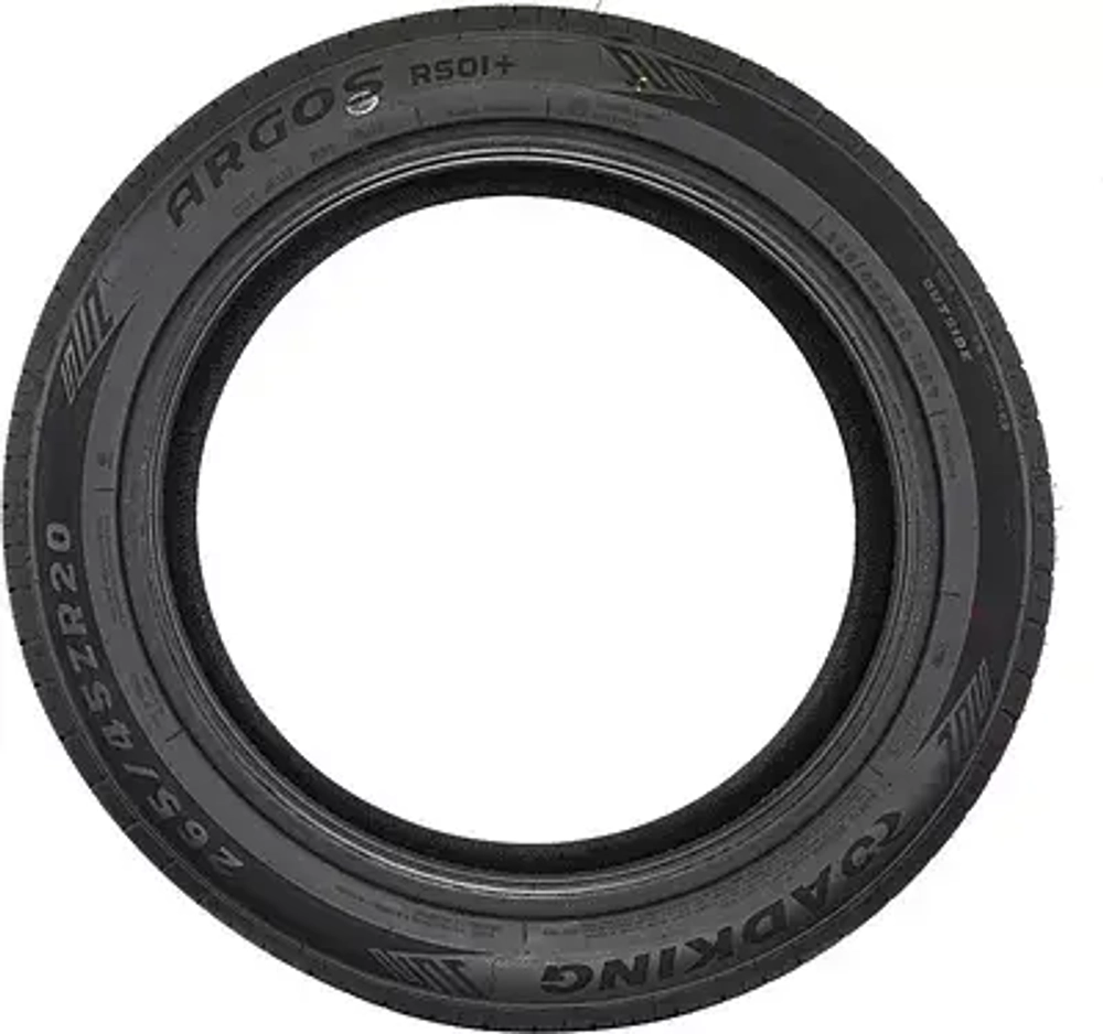 Roadking Argos RS01 305/40 ZR20 112Y XL