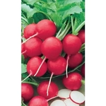 Семена Редис 16 дневный (УД) Е/П