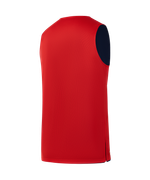 Майка двухсторонняя DIVISION PerFormDRY Double-Side RBF Jersey, темно-синий/красный