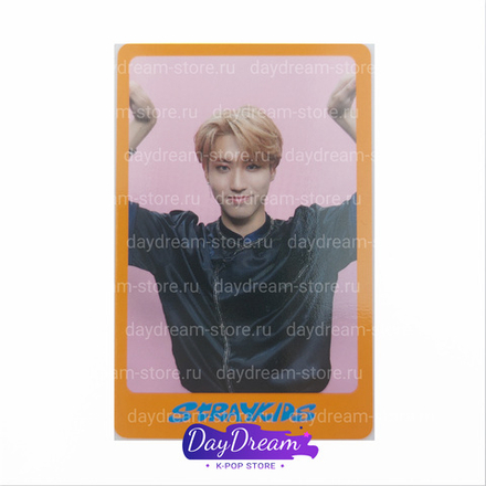 Фотокарта HAN Stray Kids - DICON D'FESTA MINI EDITION